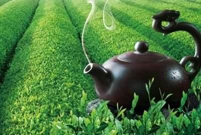 茶叶机械在山区茶叶中的四大作用